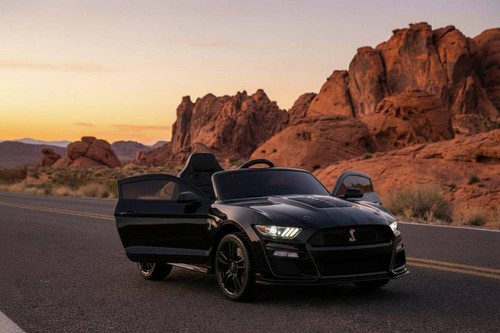 Mustang gt500 shelby cobra - gt500,